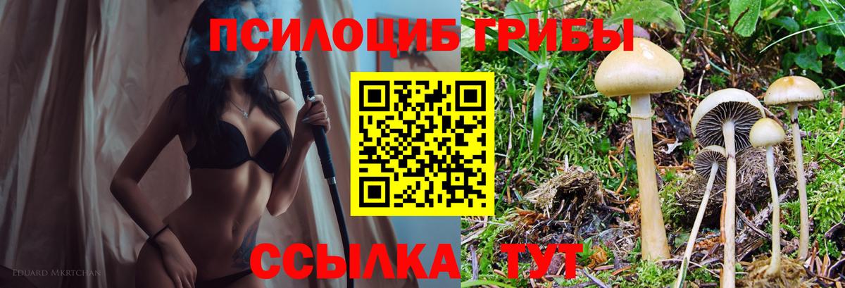 Псилоцибиновые грибы ЛСД Энгельс