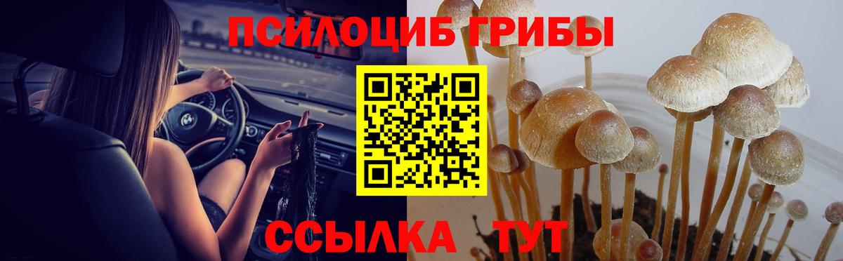 Галлюциногенные грибы Cubensis  купить  сайты  Энгельс  Вход с VPN  Галлюциногенные грибы MAGIC MUSHROOMS 
